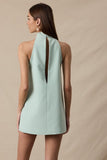 Sage Turtle Neck Cutout Plain Mini Dress